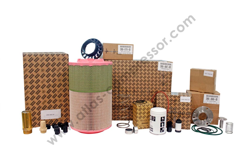 Servic-Kit-290606600-(2)
